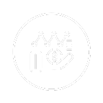 Expert-driven portfolio analysis