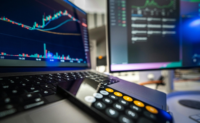 Expert Portfolio Management