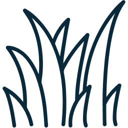 Skyscape Avenue by Sobha at Sobha Hartland 2 feature Festive Lawn